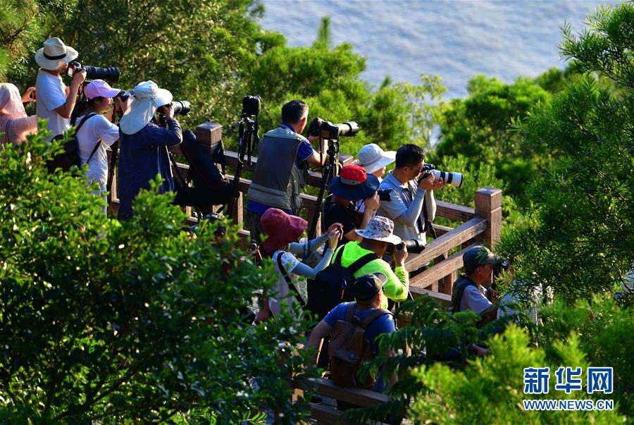 （美丽中国）（7）福建霞浦：光影滩涂 旅摄“圣地”