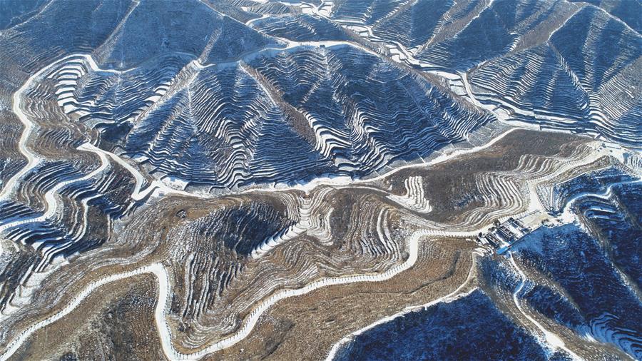 （环境）（1）雪后梯田景如画