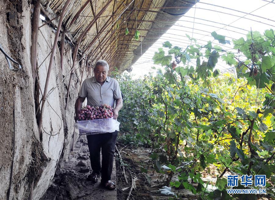 （宁夏60年）（5）宁夏中卫：科学治沙显成效