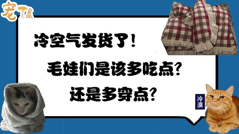 冷空气发货了！毛娃们是该多吃点还是多穿点？