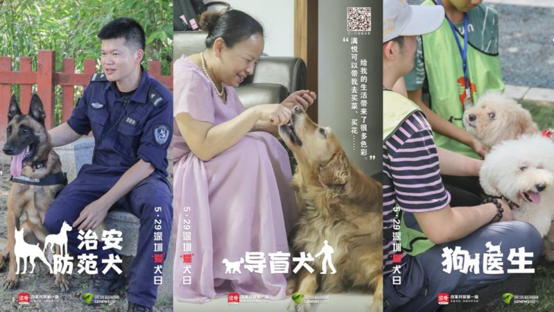 宠TA丨警犬、导盲犬……今天，他们值得被关注